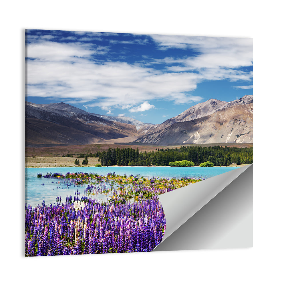 Lupines at Lake Tekapo Wall Art