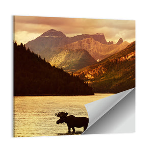 Moose In Waterton Lakes National Park Wall Art