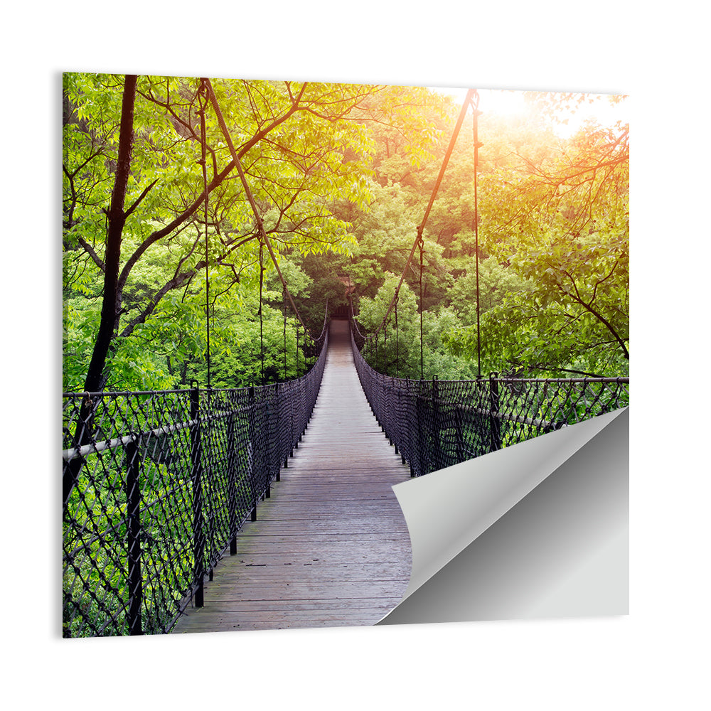 Guilin Jungle Suspension Bridge Wall Art