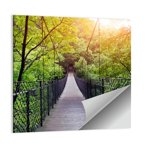 Bridge To Jungle In Guilin Wall Art