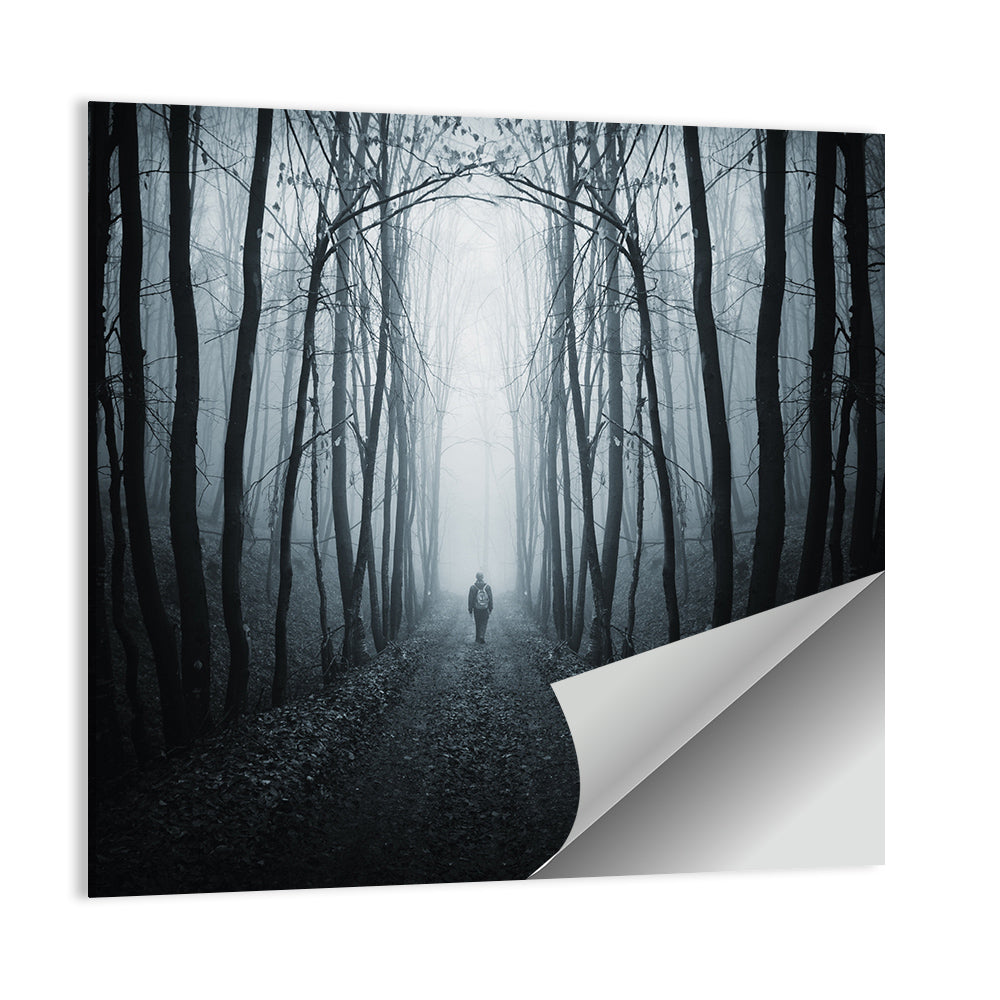 Strange Foggy Forest Path Wall Art