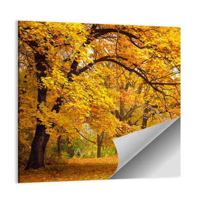 Golden Canopy in Autumn Park Wall Art