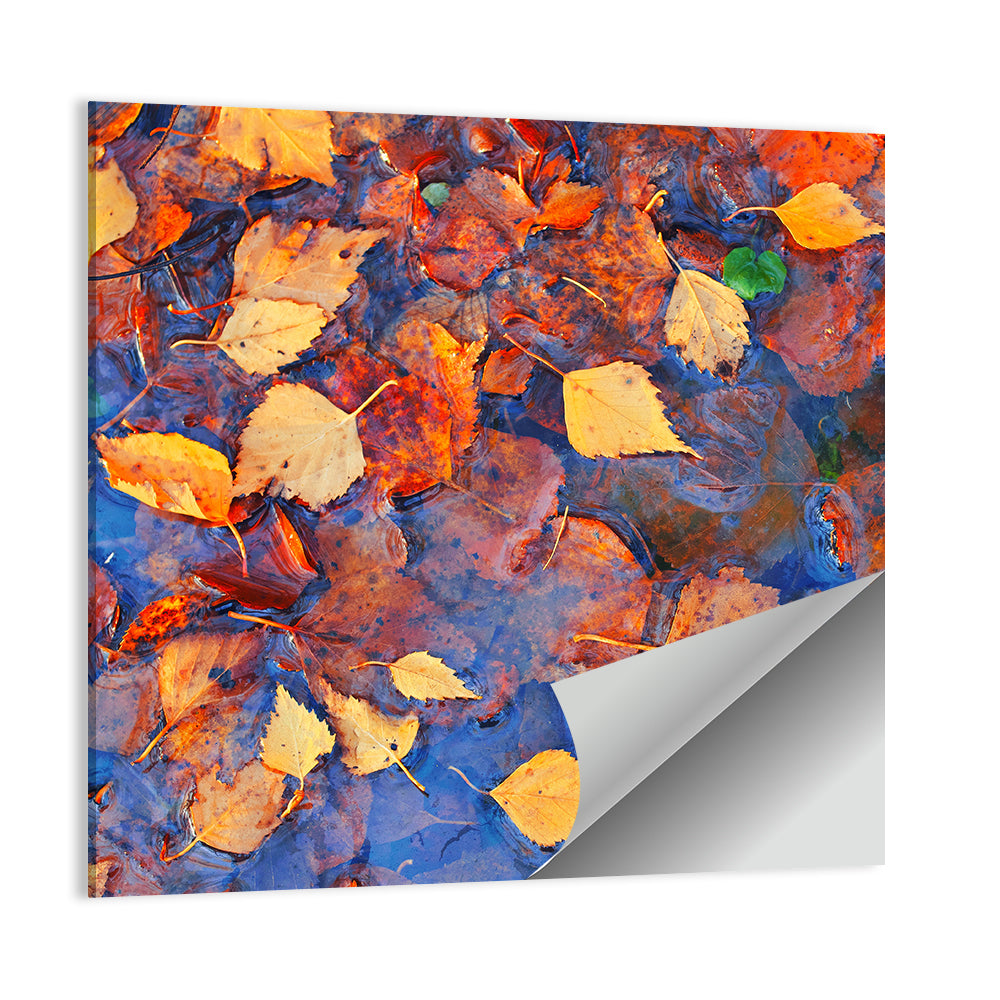 Birch Leaves in Rain Puddle Wall Art