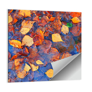 Fall Season Leaves In Rain Puddle Wall Art