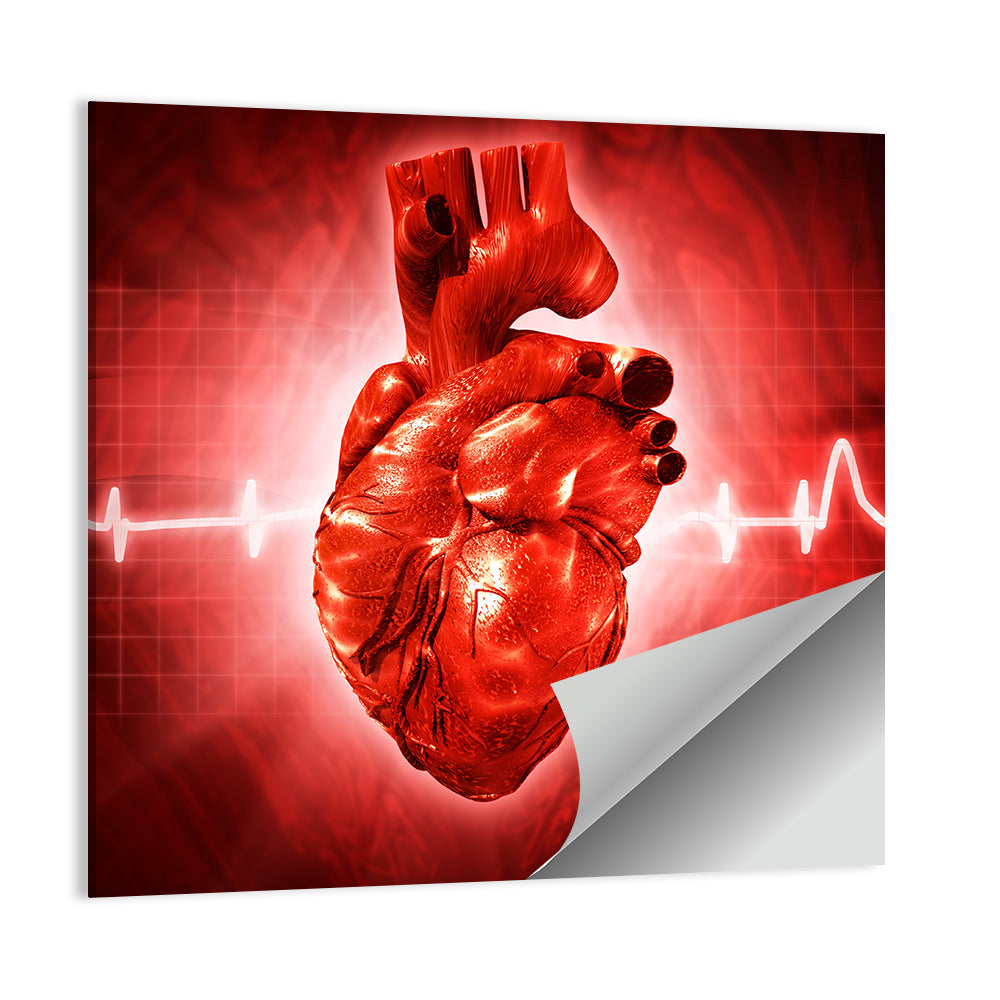 3d Anatomical Heart with Ecg Trace Wall Art