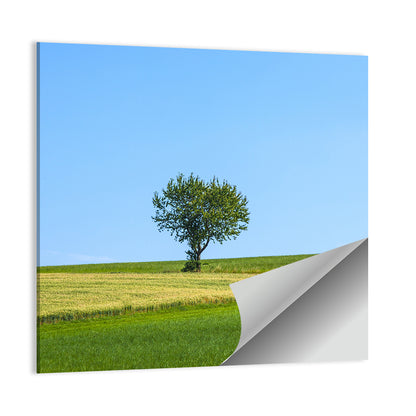 Solitary Tree on Rolling Meadow Wall Art