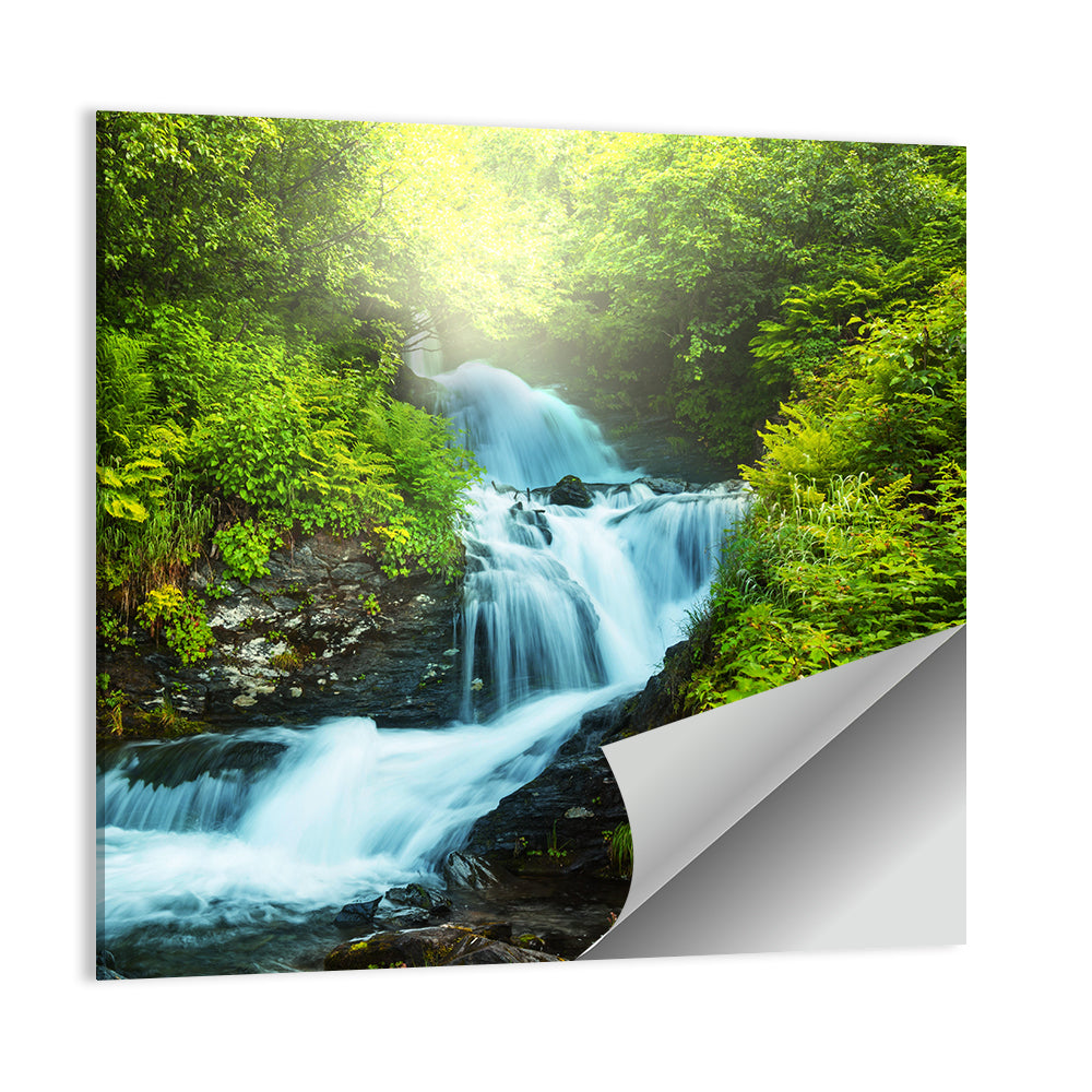 Forest Creek Waterfall Wall Art