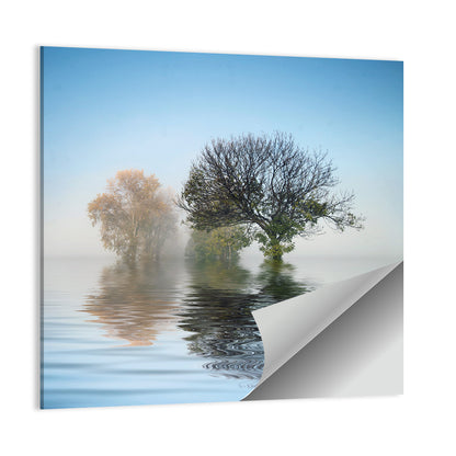 Misty Lake Reflection Wall Art