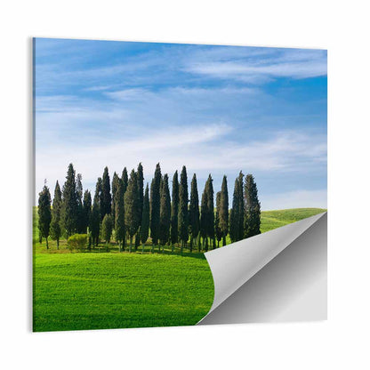 Tuscany Rolling Hills with Cypresses Wall Art