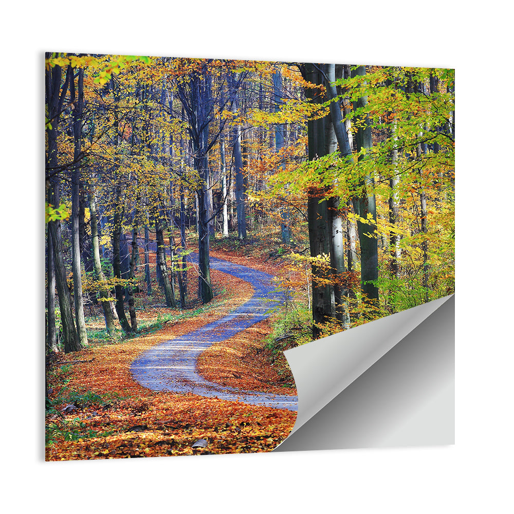 Winding Autumn Forest Path Wall Art
