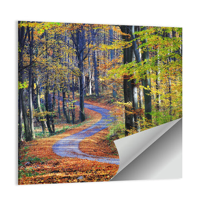 Winding Autumn Forest Path Wall Art