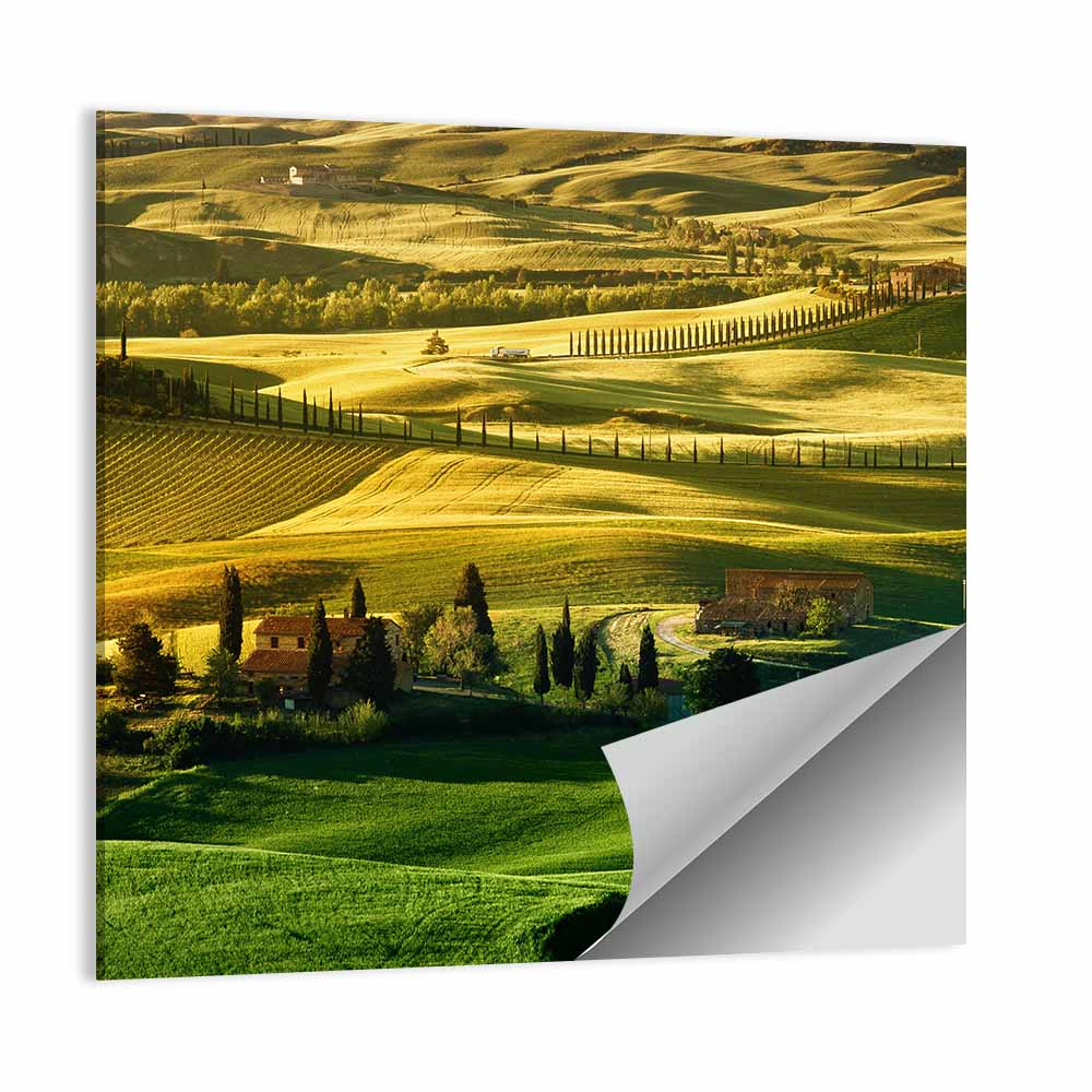 Tuscany Fields at Golden Hour Wall Art