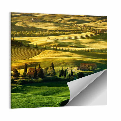 Tuscany Fields at Golden Hour Wall Art