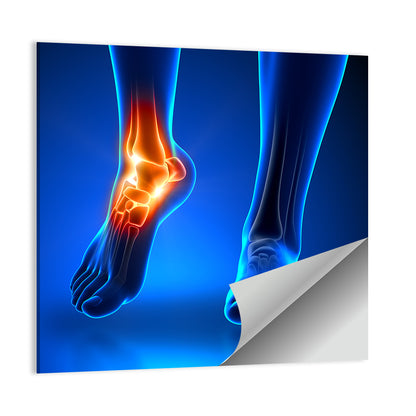 Ankle Anatomy X-ray Study Wall Art