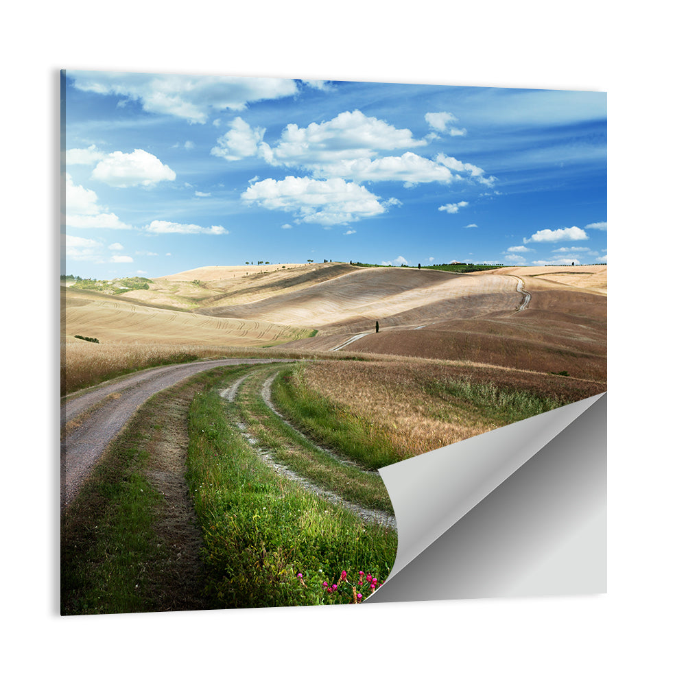 Dirt Road Through Tuscany Wall Art