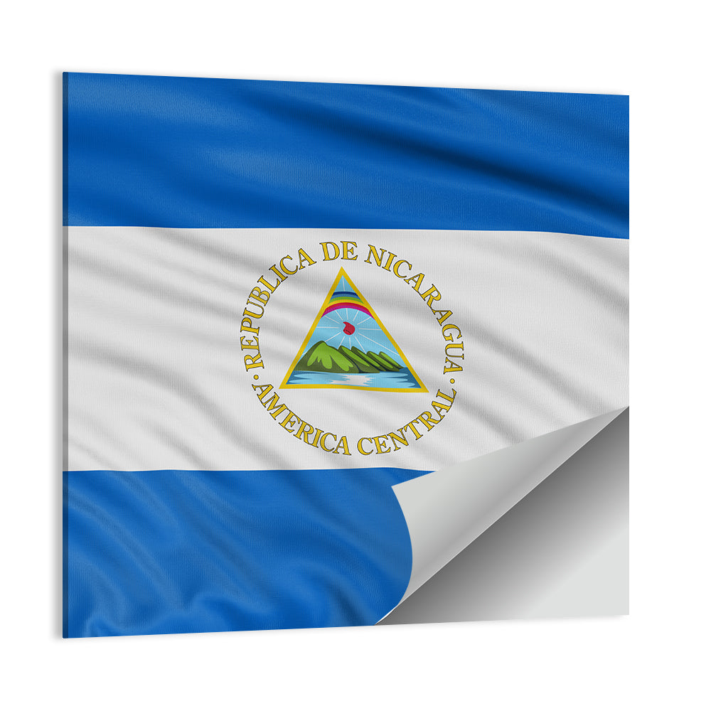 Nicaraguan Flag with Emblem Wall Art
