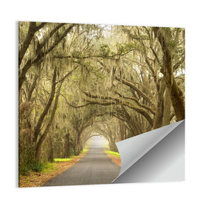 Spanish Moss Countryside Road Wall Art