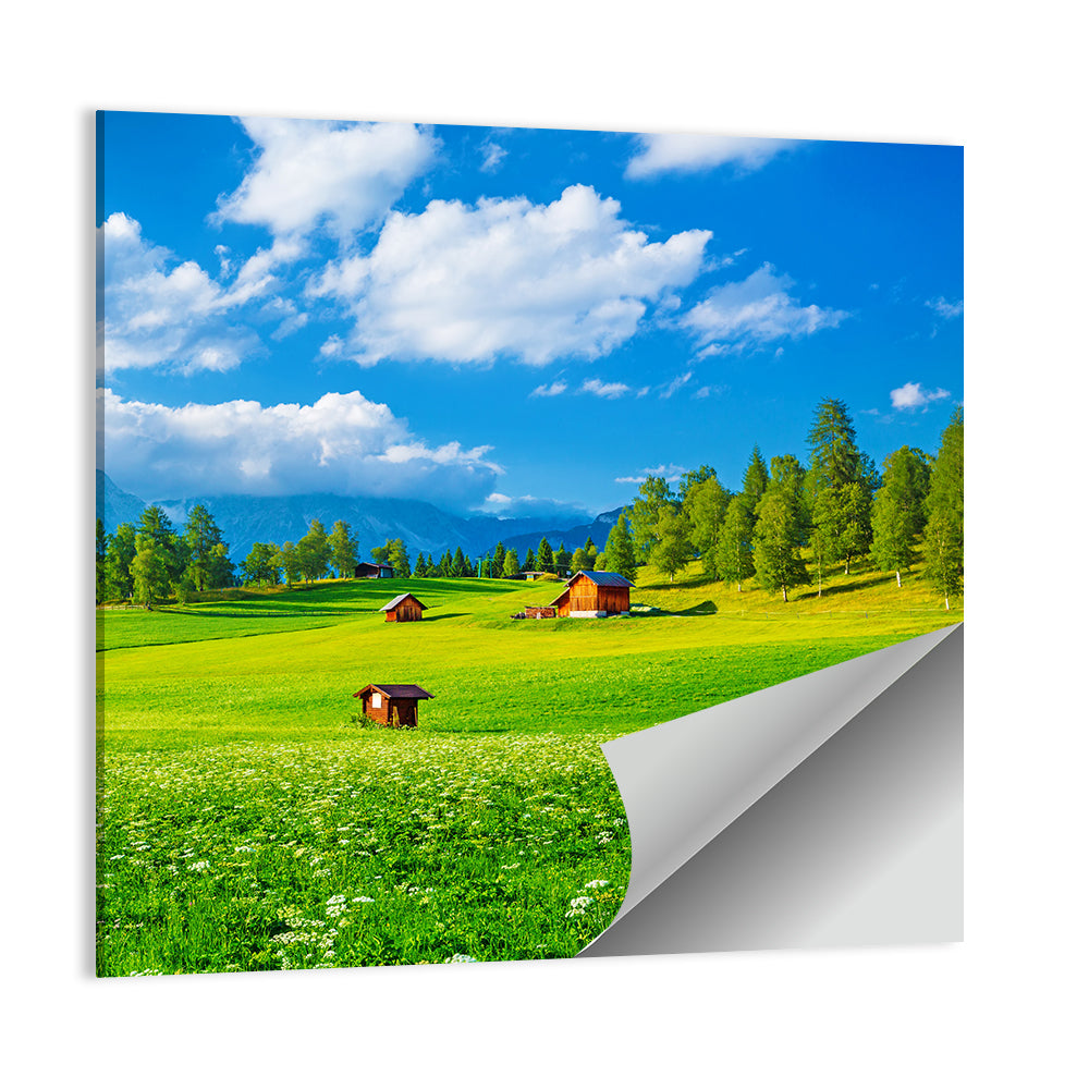 Alpine Valley Meadow, Austria Wall Art