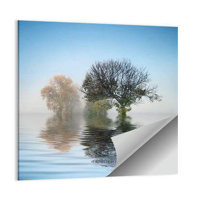 Misty Lake Reflection Wall Art