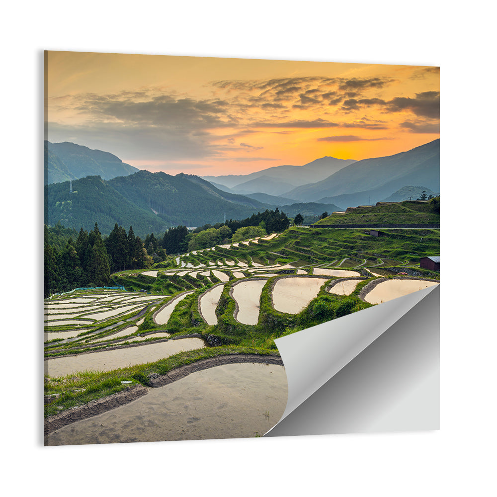 Sunset Over Japanese Rice Terraces Wall Art