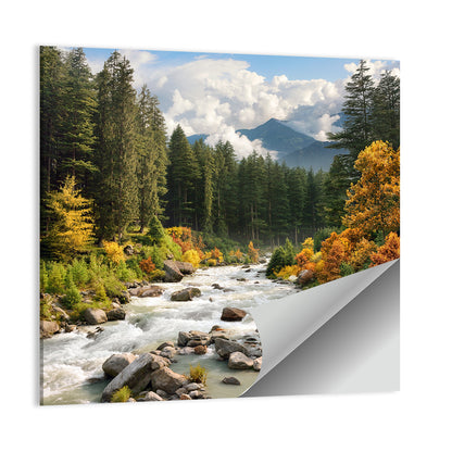 Autumn Mountain Stream with Rapids Wall Art