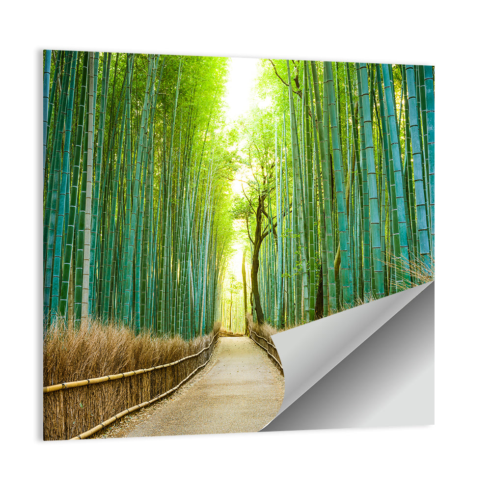 Arashiyama Bamboo Path, Kyoto Wall Art