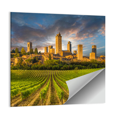 Vineyards of San Gimignano Wall Art