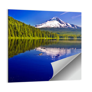 Trillium Lake & Mt Hood Wall Art