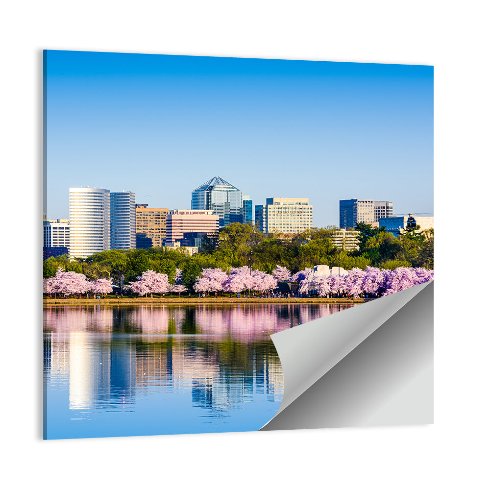 Tidal Basin Washington D.c. Cherry Blossoms Wall Art