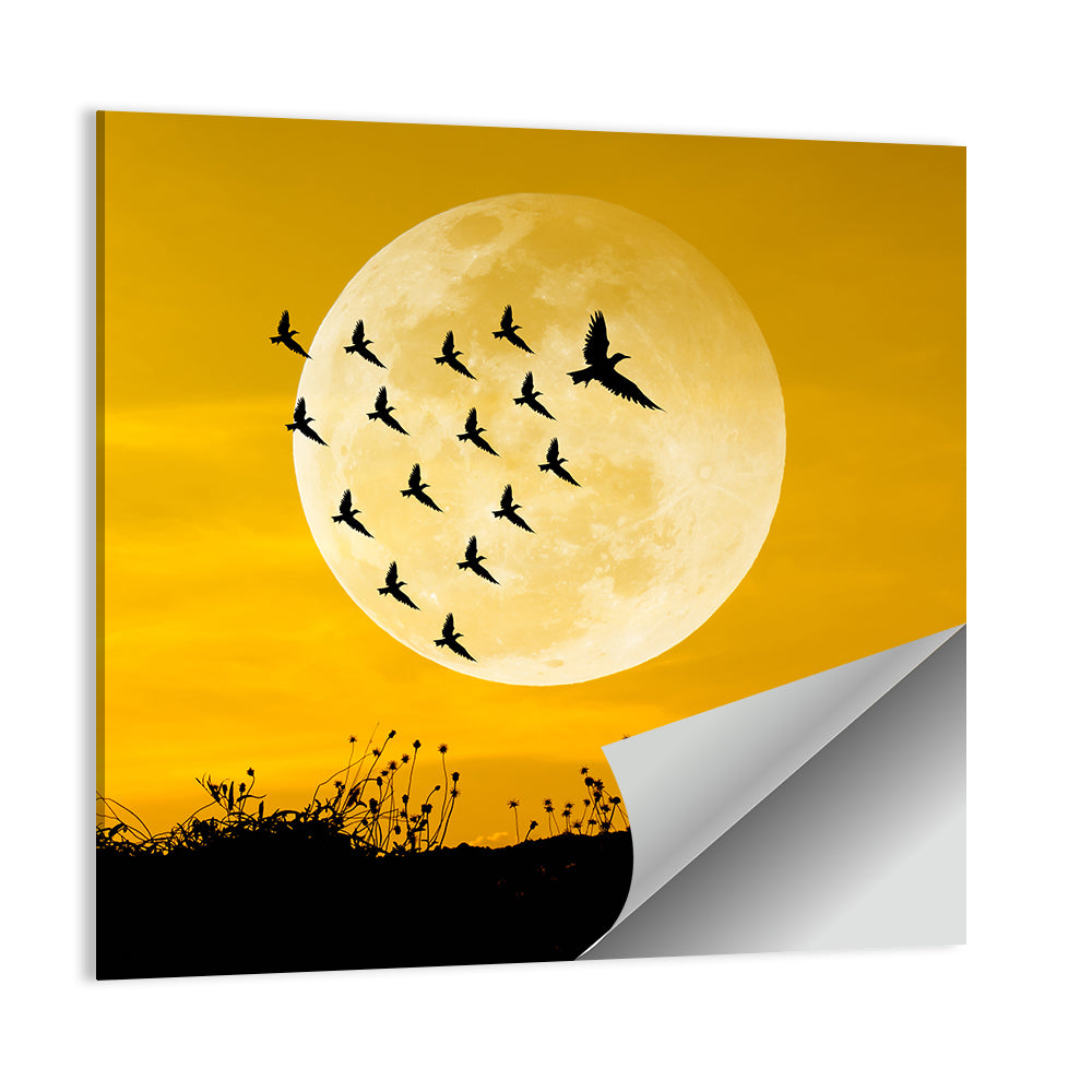 Moonlit Birds Over Wildflowers Wall Art