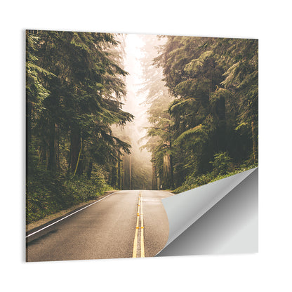 Redwood Highway, Northern California Wall Art