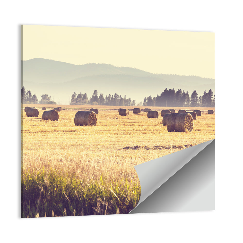 Golden Hay Bales Field Wall Art