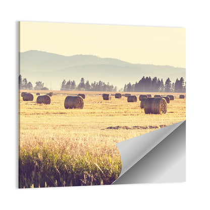 Golden Hay Bales Field Wall Art