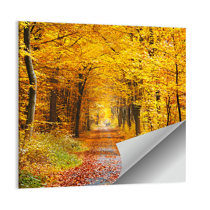 Autumn Forest Path Wall Art