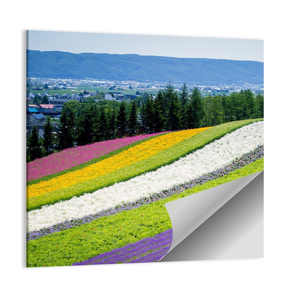 Farm Tomita Lavender Fields Wall Art