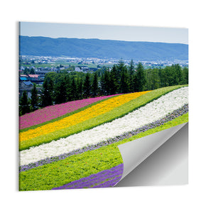 Lavender Garden In Fulano Hokkaido Wall Art