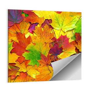 Autumn Colorful Leaves Wall Art