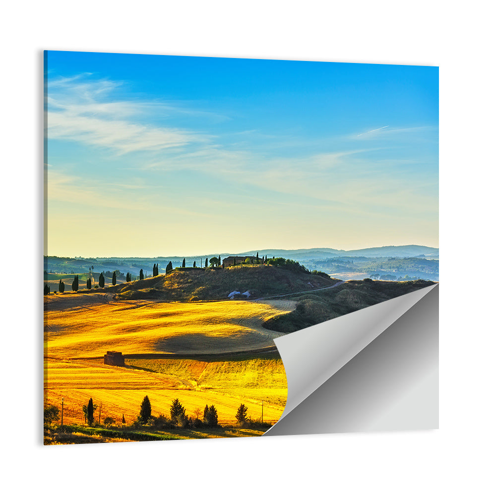 Cypress Trees Over Golden Fields Wall Art