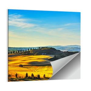 Cypresses Trees & Green Field Wall Art