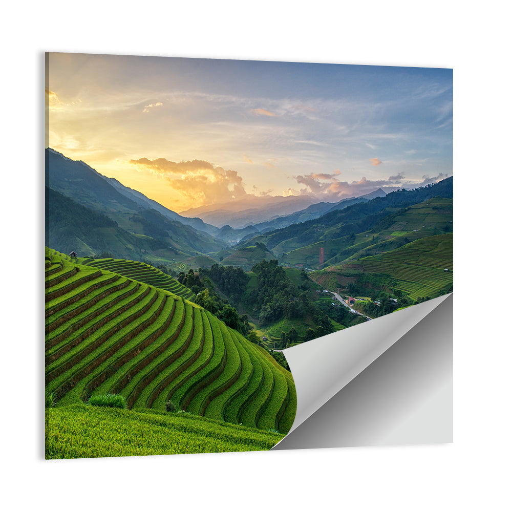 Vietnam Terraced Rice Fields Wall Art