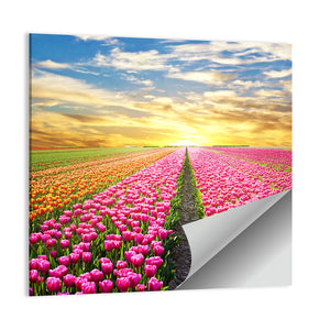 Sunrise Over Tulip Field Wall Art