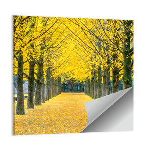 Row Of Yellow Ginkgo Tree Wall Art