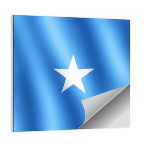 Flag Of Somalia Wall Art