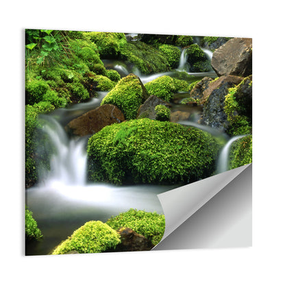 Mossy Mountain Stream Wall Art