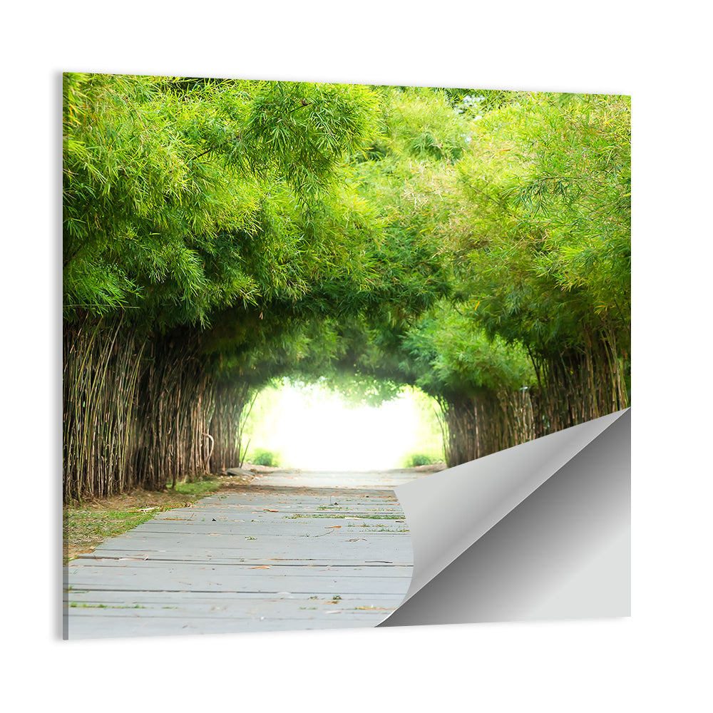 Kyoto Bamboo Canopy Walkway Wall Art