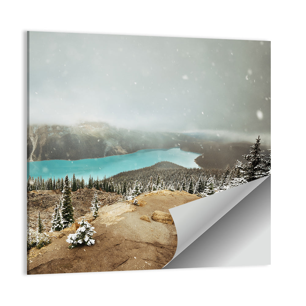 Peyto Lake In Winter Wall Art