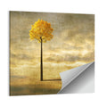 Solitary Tree at Golden Hour Wall Art