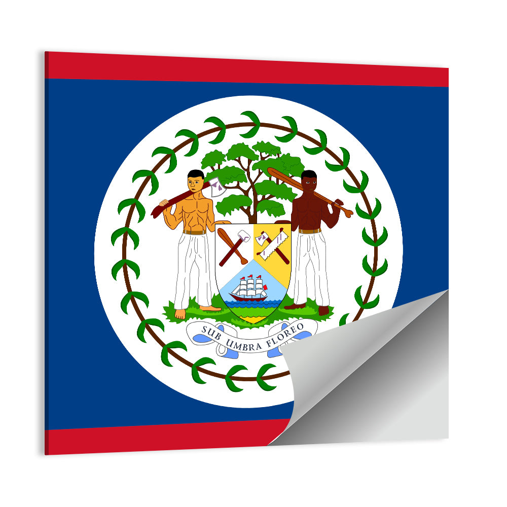 Flag Of Belize Wall Art