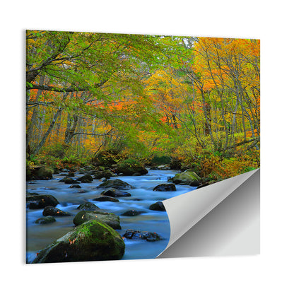 Stream Oirase Gorge In Autumn Wall Art