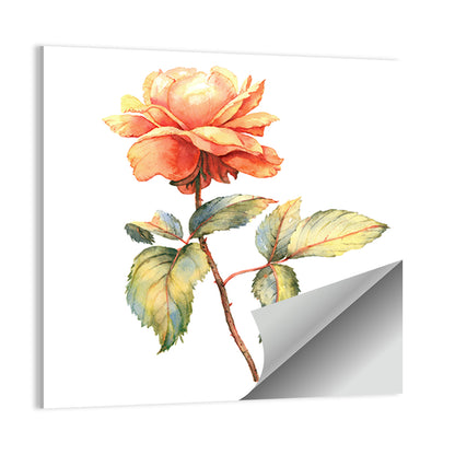 Orange Watercolor Rose Illustration Wall Art